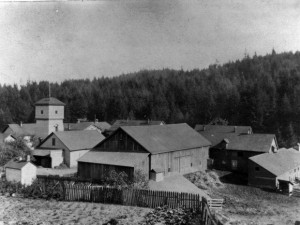 The Hillside Farm, a 160-acre poor farm owned and operated by Multnomah County from 1868 to 1911, was located in a portion of Washington Park currently occupied by the zoo, Hoyt Arboretum and the World Forestry Center.
